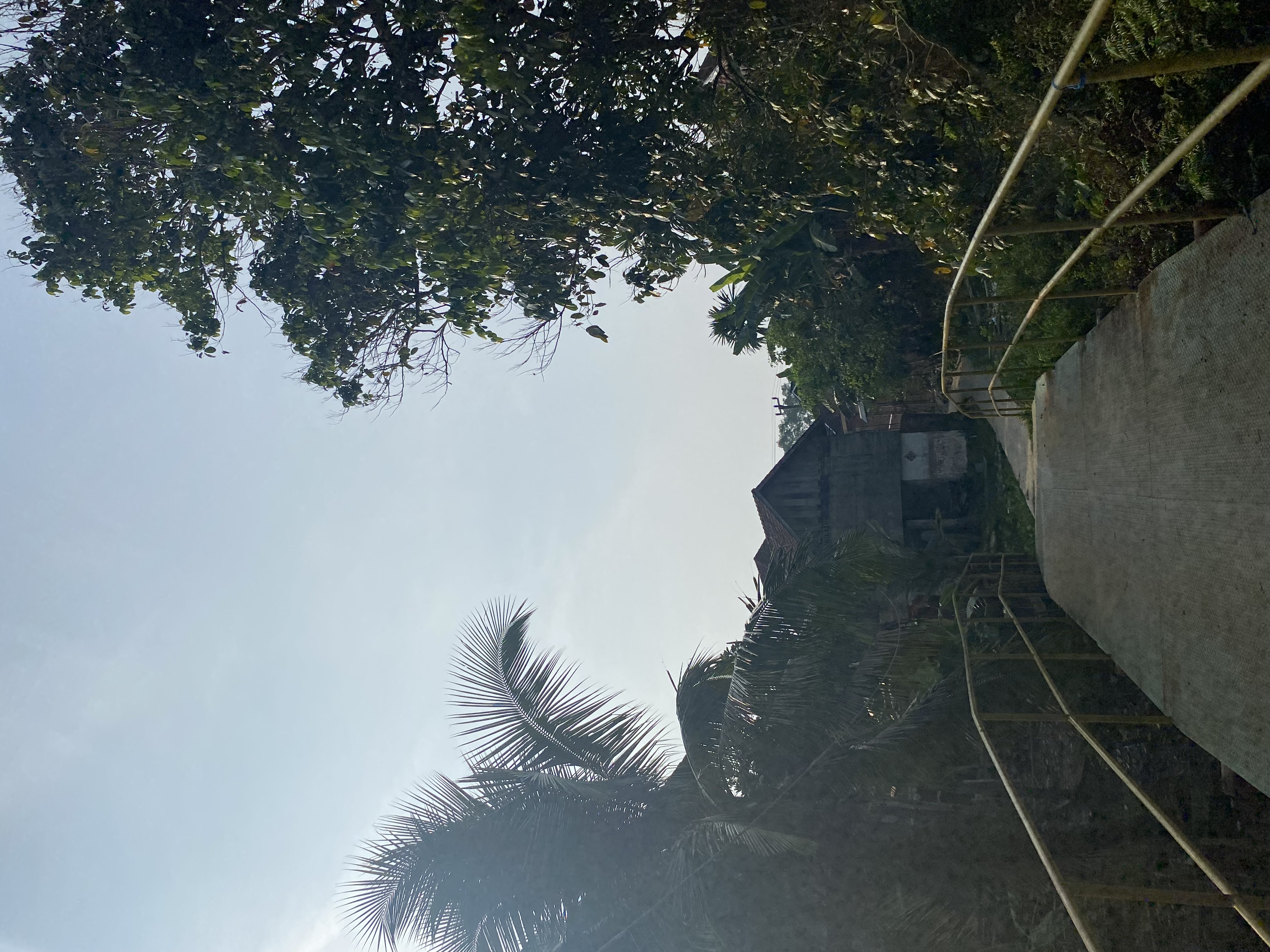 Mengulik Pesona Desa Dawas di Kecamatan Keluang: Potensi dan Harapan Masa Depan